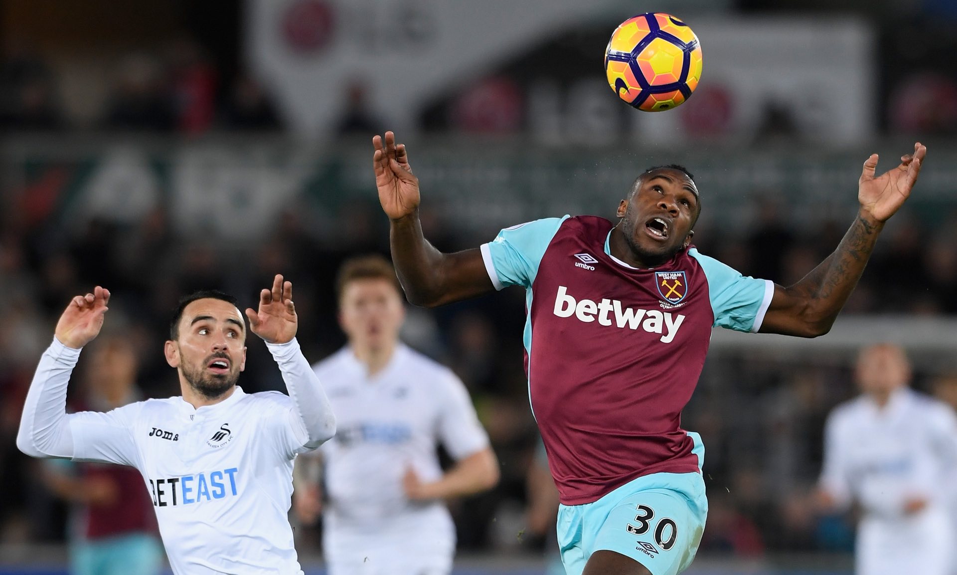 马尔也不忘 马尔也不忘